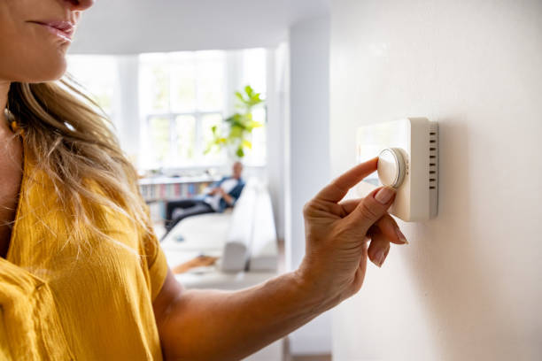Best Local HVAC Companies  in Belle Rose, LA